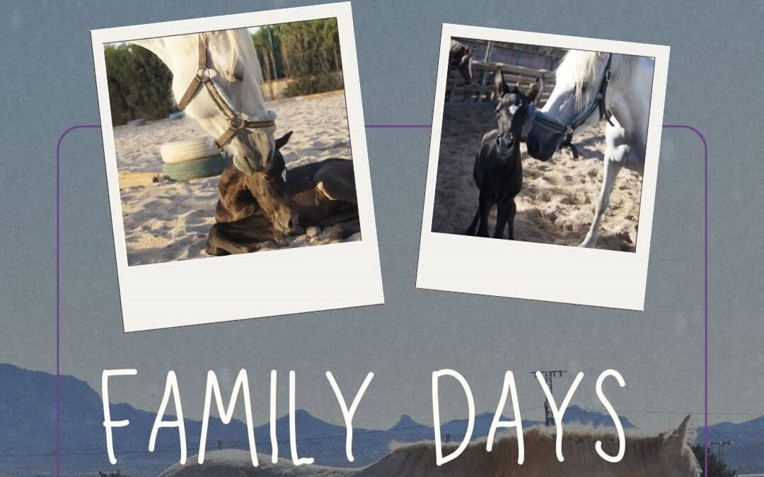 Los family days, un plan ideal para los primeros domingos del mes