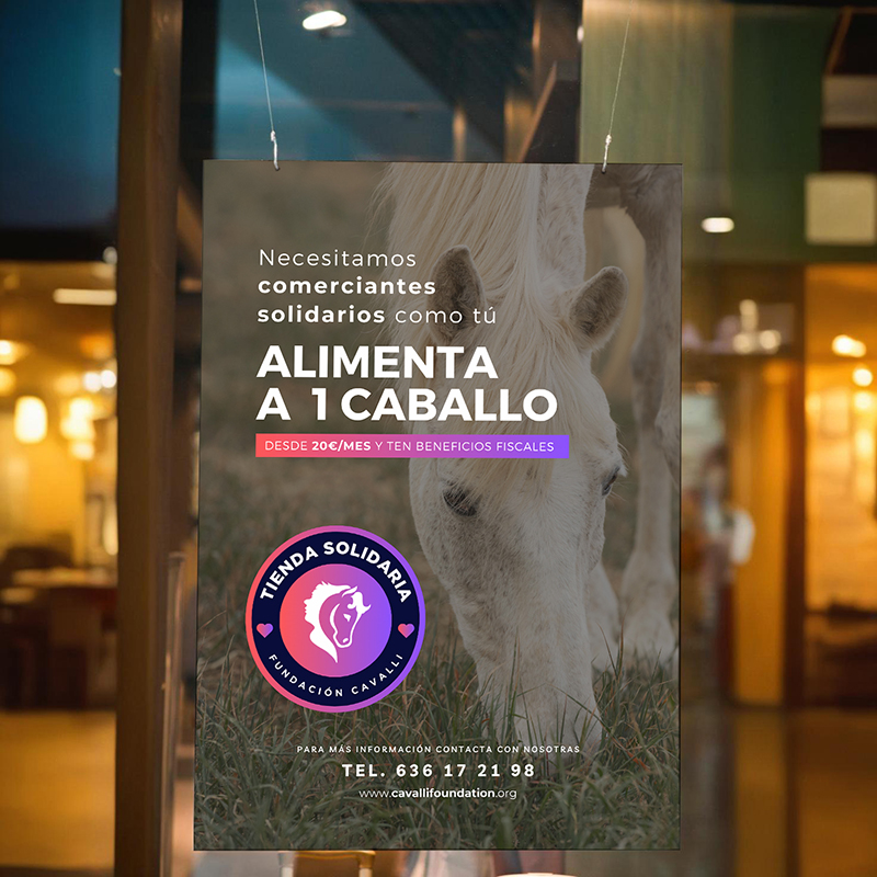 tienda-amiga-web-1